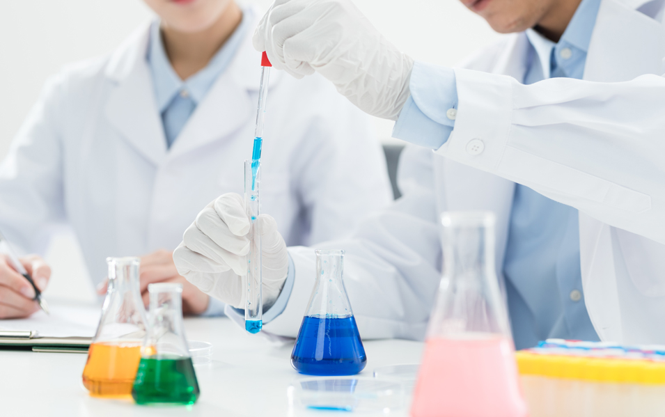 0029cc金沙贵宾会(集团)股份有限公司-BinG百科