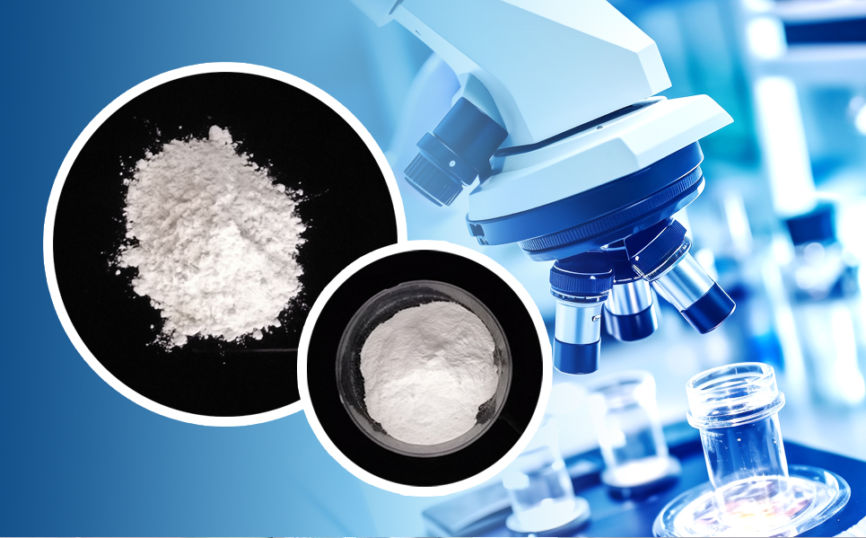 0029cc金沙贵宾会(集团)股份有限公司-BinG百科